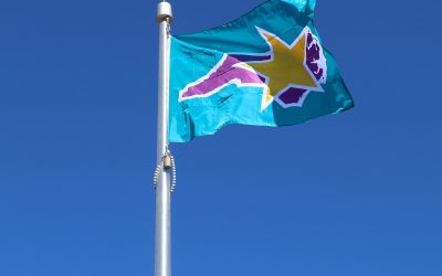 Cardinal CT Glass Earns Carolina Star Award, Strengthening Surry County’s Legacy of Excellence